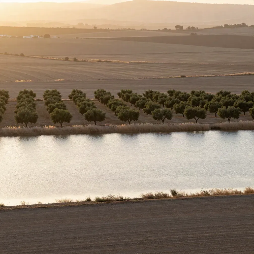 Vista dorada de la huerta valenciana con agua en calma y naranjos al fondo